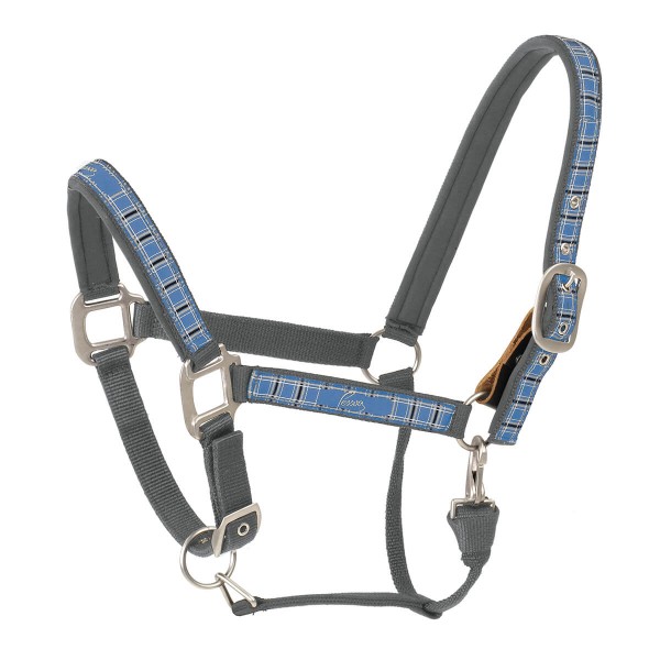 Breakaway Leather Halter Loop