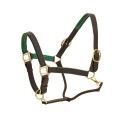 Ovation® Richtan Luxury Padded Halter