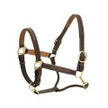 Ovation® Richtan Luxury Padded Halter