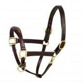 Fcy Rsd ZERO Shape Pad Halter