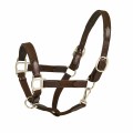 Padded Web/Lthr Halter w/Snap